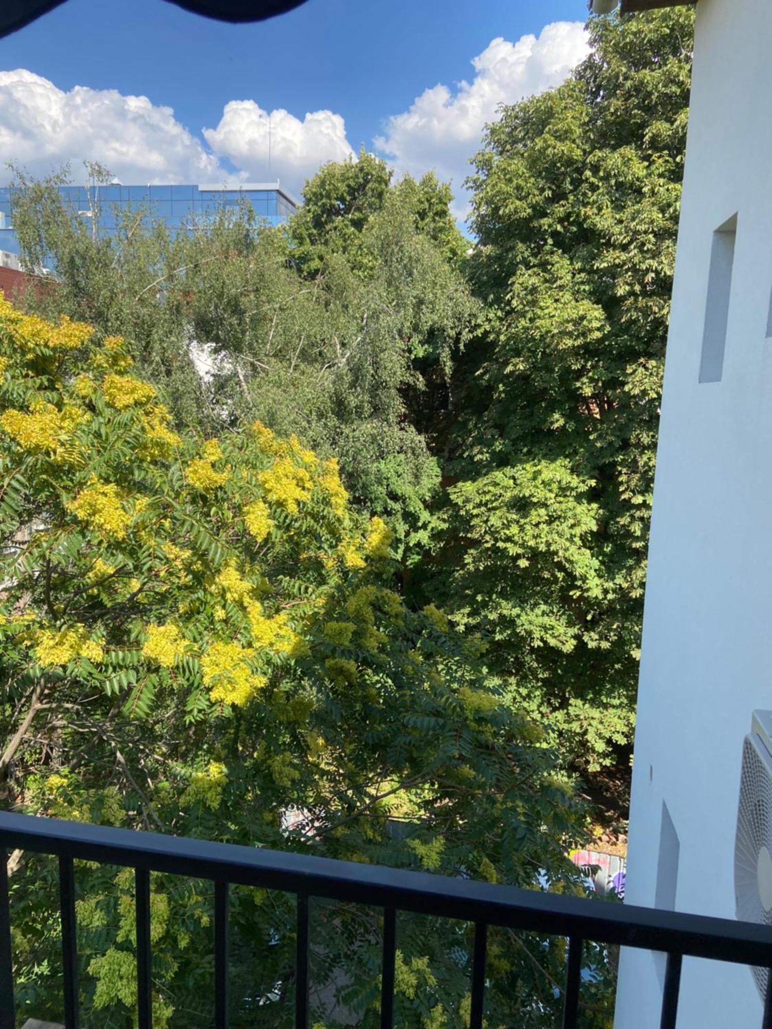 Apartament Edelweiss